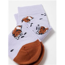 БРЕСТСКИЕ Носки 4200