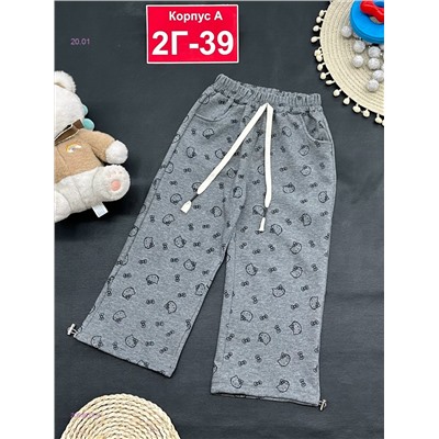 штаны 2053615-4