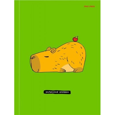 Записная книжка А5  80л клетка "ОЧАРОВАТЕЛЬНАЯ КАПИБАРА" 48-3664 Проф-Пресс