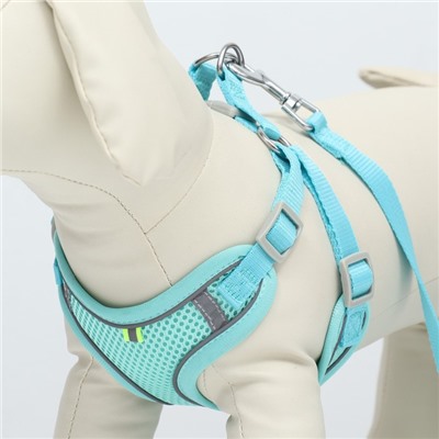 Комплект с мягкой шлейкой, быстросъемный, M, поводок 140 см, ОШ 44-48 ОГ 51-60 см, бирюзовый
