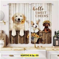 Фотошторы 3д 2050964-9