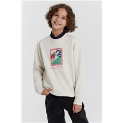 Свитшот MARK FORMELLE, 1072704