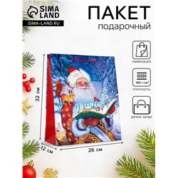 Пакет подарочный новогодний ламинированный, «Дед Мороз», 26×12×32 см