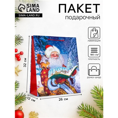Пакет подарочный новогодний ламинированный, «Дед Мороз», 26×12×32 см