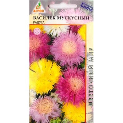 Василек Мускусный Радуга (Код: 78782)