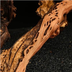 Коряга для аквариума «Лоза виноградная», 50 - 60 см