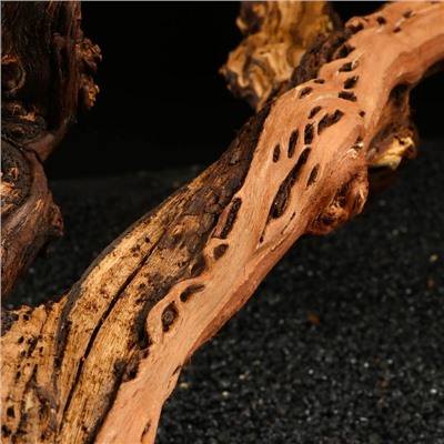 Коряга для аквариума «Лоза виноградная», 50 - 60 см