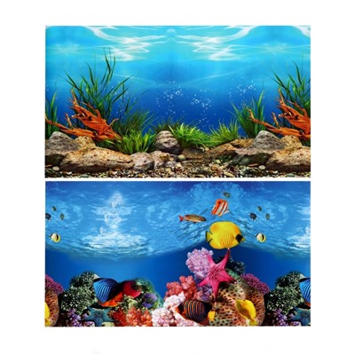 Фон для аквариума двухсторонний, 30×50 см