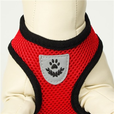 Шлейка с поводком, размер M, ОШ 26, ОГ 36-44, с светоотражающей нашивкой, мягкая, красная