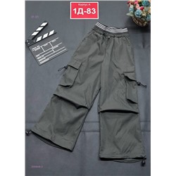 штаны 2059846-3