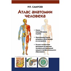 АСТ Самусев Р.П. "Атлас анатомии человека. Учебное пособие для студентов учреждений среднего профессионального образования"