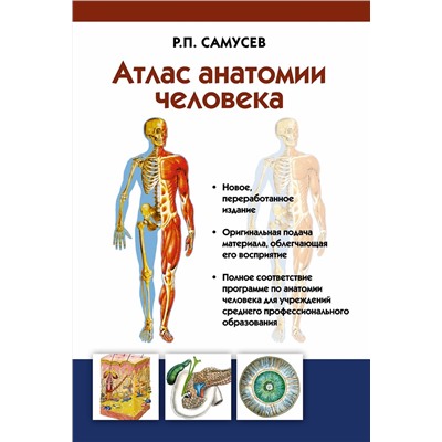 АСТ Самусев Р.П. "Атлас анатомии человека. Учебное пособие для студентов учреждений среднего профессионального образования"