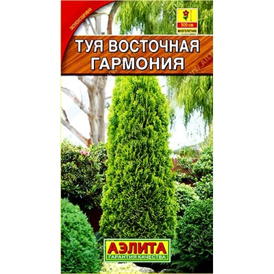 Туя Гармония восточная