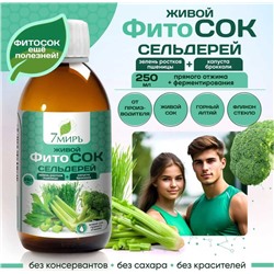 Живой сок Сельдерея + Зелени ростков пшеницы + Капусты брокколи прямого отжима 250 мл.