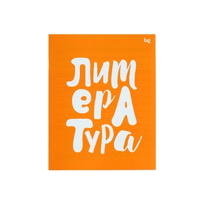 Тетрадь предметная 48 листов в линейку «Домино. Литература», обложка пластиковая