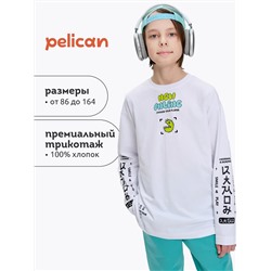 PELICAN Джемпер BFJ3369