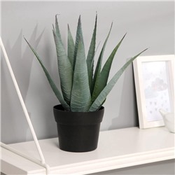 Искусственный цветок в горшке «Алоэ вера», 10×25 см