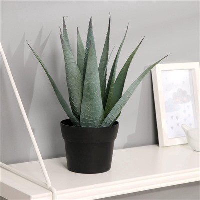 Искусственный цветок в горшке «Алоэ вера», 10×25 см