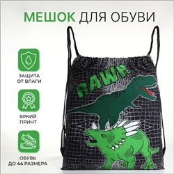 Мешок для обуви на шнурке, с принтом, размер 45×1×34 см, чёрный/зелёный