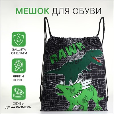 Мешок для обуви на шнурке, с принтом, размер 45×1×34 см, чёрный/зелёный