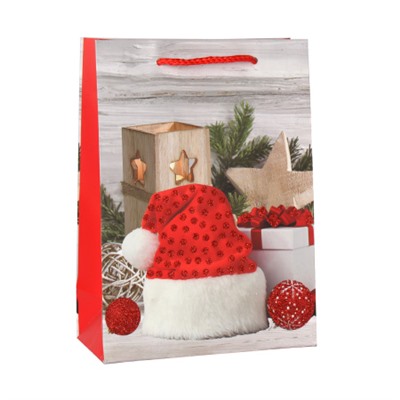 Пакет подарочный 18х24х8.5 / 362-106-S /уп 12/720/Новый год