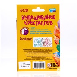Выращивание кристаллов «Опыты. Лучистый кристалл», цвет фиолетовый