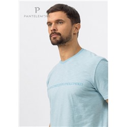 MF-1036 (Футболка мужская, PanteLemone )