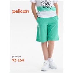 Шорты для мальчика