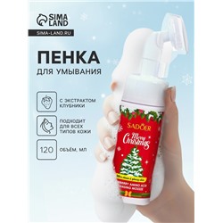 Новогодняя пенка для умывания Sadoer, клубника, 120 мл
