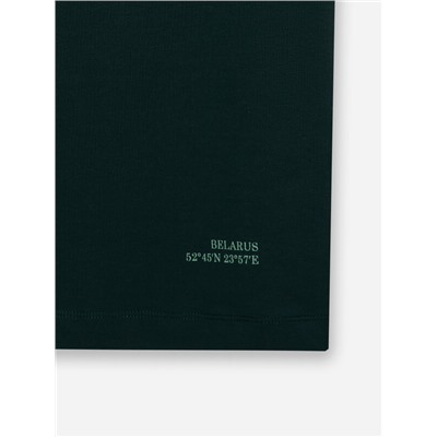 ФУТБОЛКА МУЖСКАЯ 111900