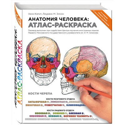 Эксмо Лоуренс М. Элсон, Уинн Кэпит "Анатомия человека: атлас-раскраска"