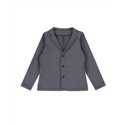 Апрель Пиджак 1ПДИД4234176