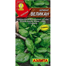 1125A Шпинат Великан 3 г