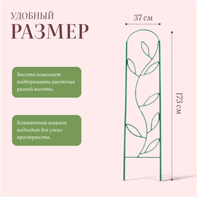 Шпалера, 173×37×1 см, металл, зелёная, «Декоративная. Стебель»
