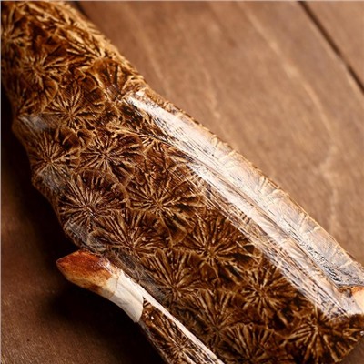 Сувенир «Кошки», набор 3 шт., 30.25.20 см, дерево