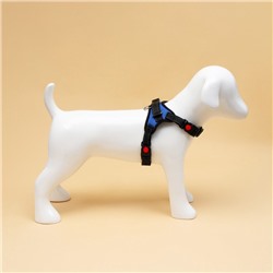 Шлейка К7, размер S, ОГ 44-55 см, вес 5-9 кг, мягкая, светоотражающая, синяя