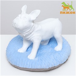 Лежак для животных «Нежность», 50×50×10 см, голубой