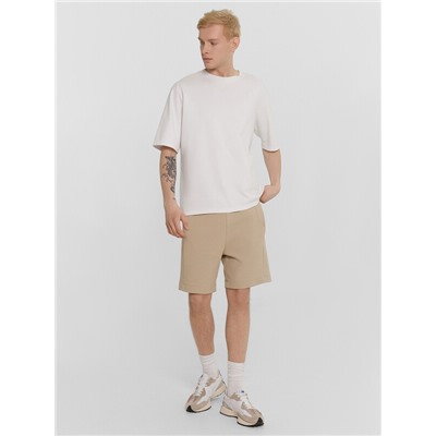 ШОРТЫ МУЖСКИЕ 131098-1