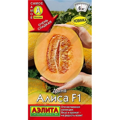 Дыня Алиса F1 (Аэлита)