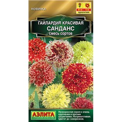 Гайлардия Санданс Аэлита