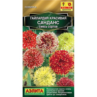 Гайлардия Санданс Аэлита