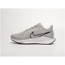 Кроссовки Nike Air Zoom Pegasus 41