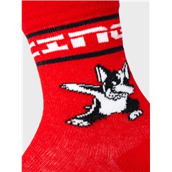 Носки трикотажные для мальчиков, 3 пары в комплекте