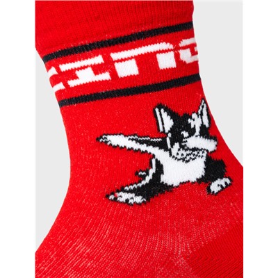 Носки трикотажные для мальчиков, 3 пары в комплекте