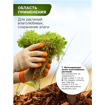 Мох сфагнум для террариумов «Рецепты дедушки Никиты» 2 л