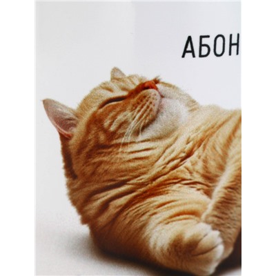 Кружка керамическая «Абонент отдыхает», 320 мл