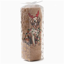 Полотенце махровое Этель «Счастливая собака» 30×60 см, 340 г/м², 100% хл