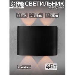 Светильник фасадный «Полусфера», 4 Вт, 3000К, 2 луча, IP65, 220 В, металлический корпус, чёрный, свечение тёплое белое