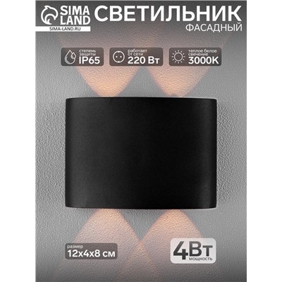 Светильник фасадный «Полусфера», 4 Вт, 3000К, 2 луча, IP65, 220 В, металлический корпус, чёрный, свечение тёплое белое