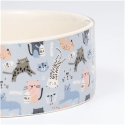 Миска керамическая «Абстракция котов» 300 мл - 11.5×11.5×5 см, голубая/белая